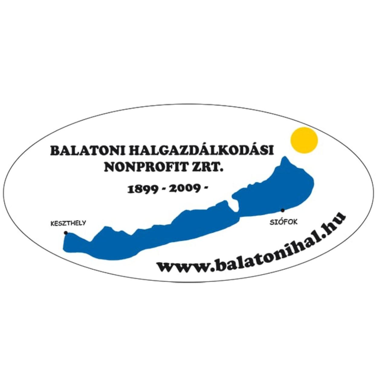 goopi experience partner